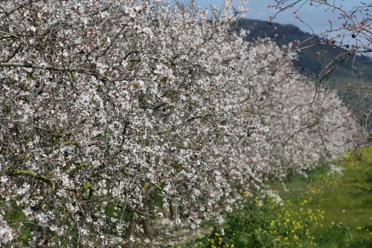 126 Finca Son Tresco Etv4382 By Mallorca Charme Бугер